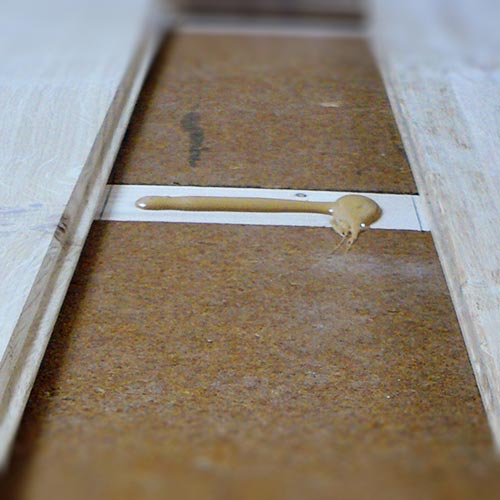 Fiber Wood Insulation FiberTherm Floor dry screed