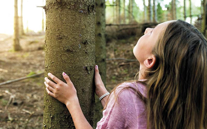 Wellness with Fiber Wood - Mission